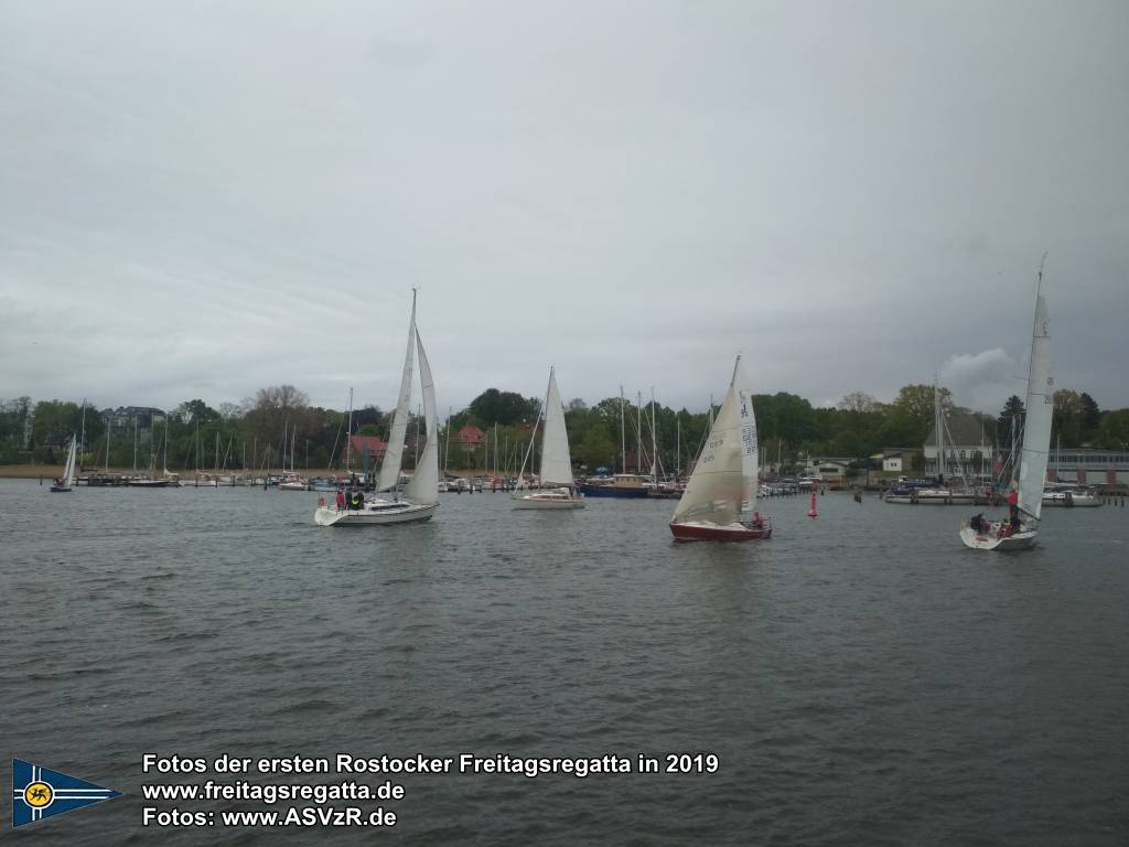 erste Freitagsregatta in ROstock 10.05.2019