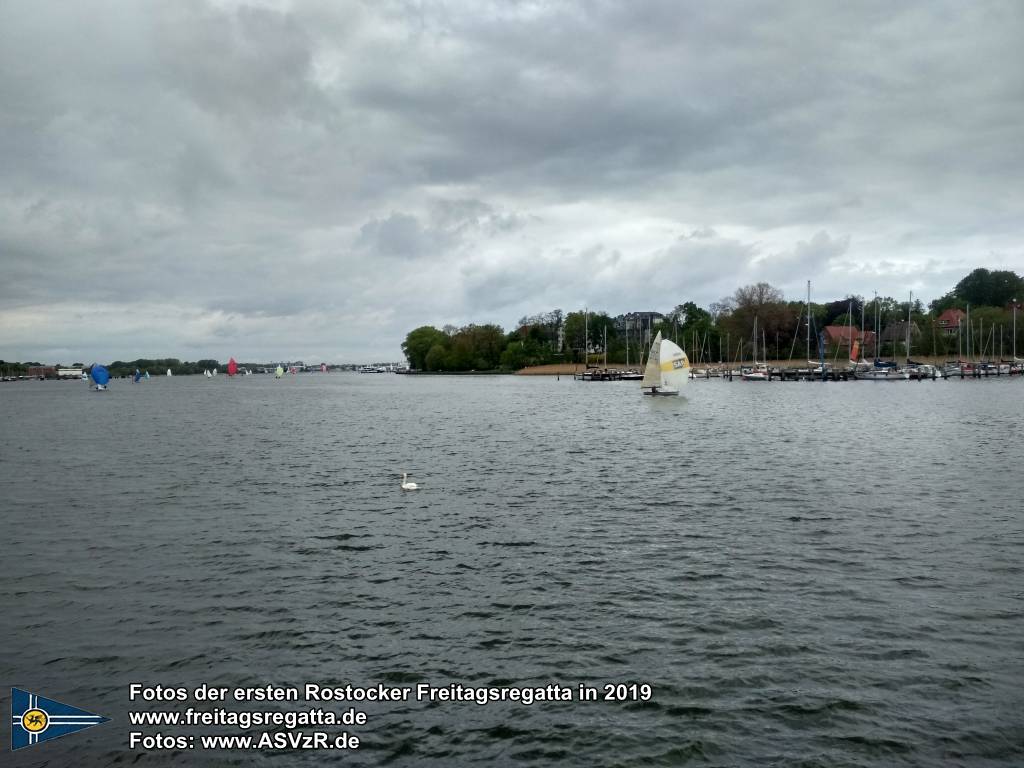 erste Freitagsregatta in ROstock 10.05.2019