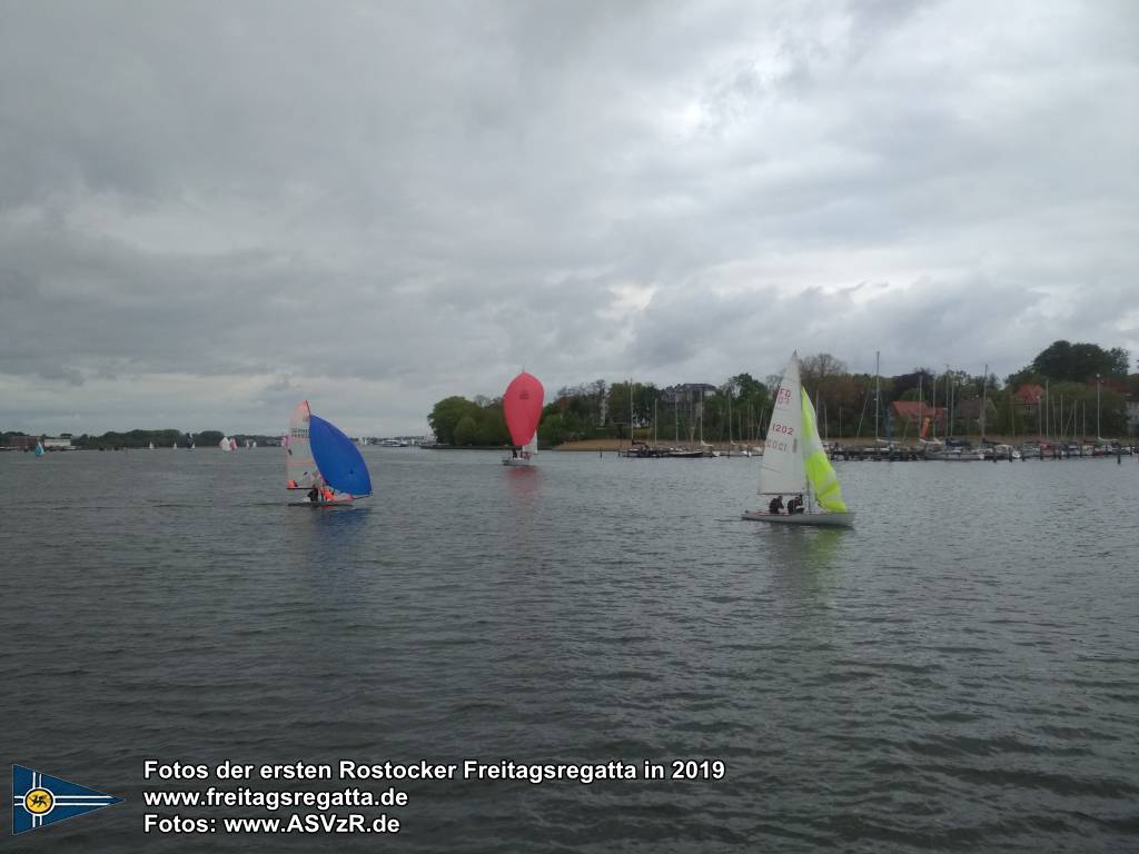 erste Freitagsregatta in ROstock 10.05.2019