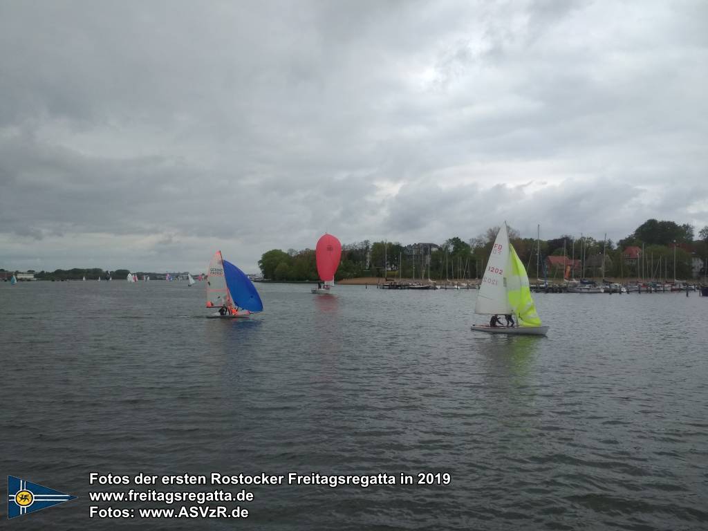 erste Freitagsregatta in ROstock 10.05.2019