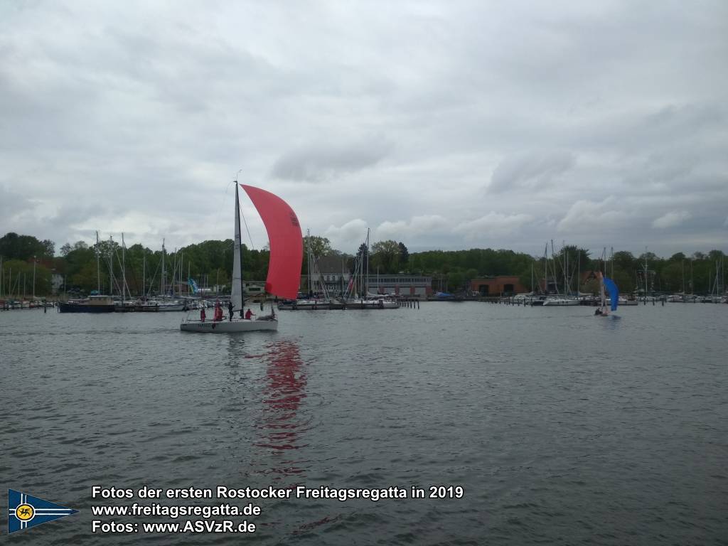 erste Freitagsregatta in ROstock 10.05.2019