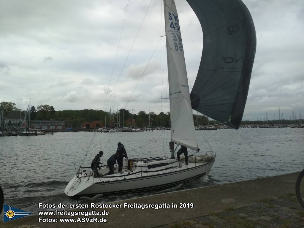 erste Freitagsregatta in ROstock 10.05.2019