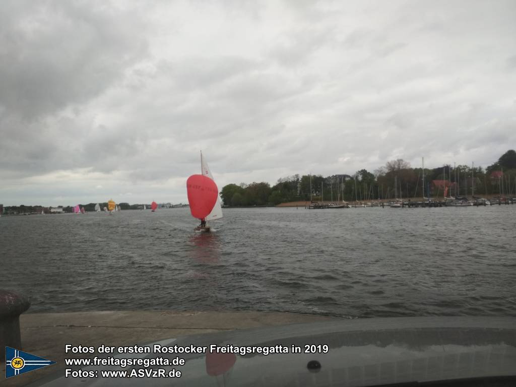 erste Freitagsregatta in ROstock 10.05.2019