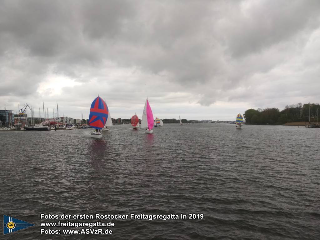 erste Freitagsregatta in ROstock 10.05.2019