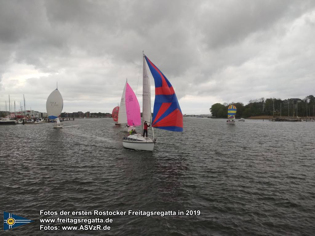 erste Freitagsregatta in ROstock 10.05.2019