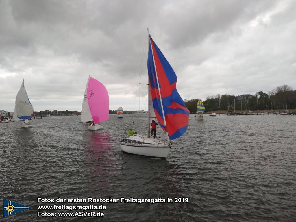 erste Freitagsregatta in ROstock 10.05.2019