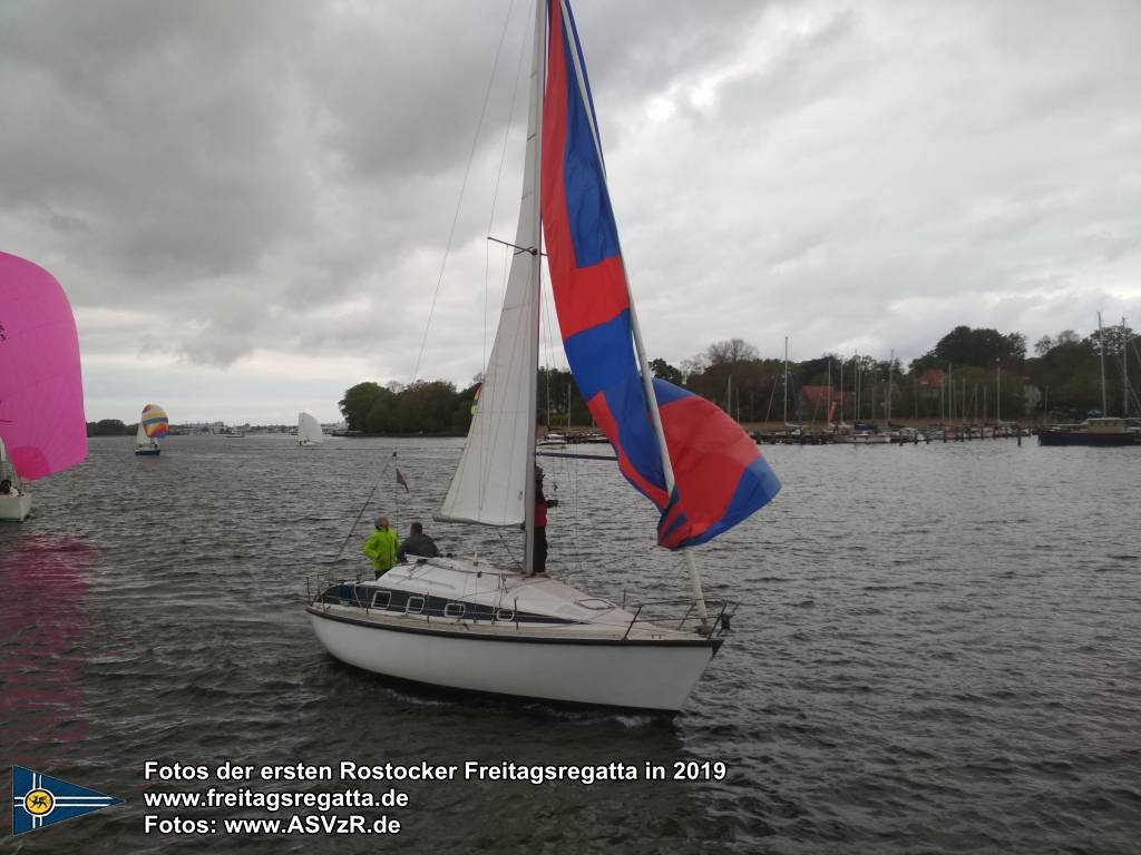 erste Freitagsregatta in ROstock 10.05.2019