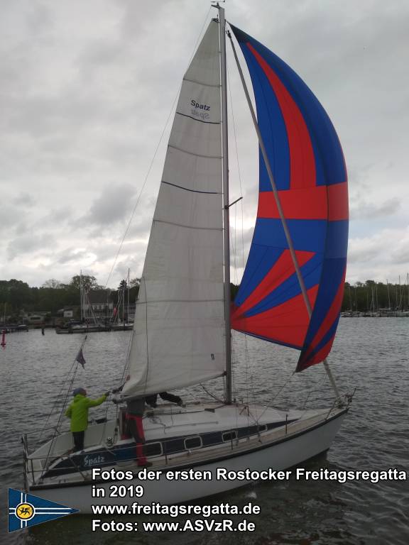 erste Freitagsregatta in ROstock 10.05.2019