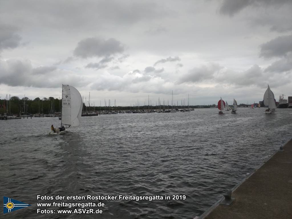 erste Freitagsregatta in ROstock 10.05.2019