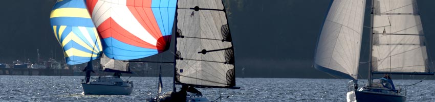 Fotos zur 2. Freitagsregatta  in 2021