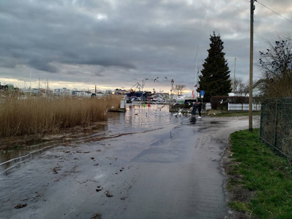 Foto von Hochwasser in Rostock Warnow Februar 2020 / Gehlsdorfer Ufer 5